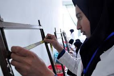 معرفی رشته کارشناسی فرش و سجاده فرش